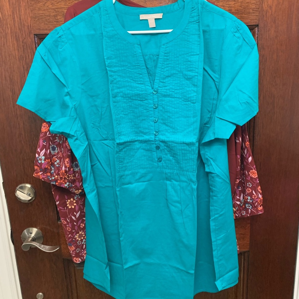 Woman Within Teal Blouse